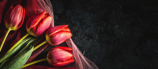 Tapeta w kwiaty, czerwone tulipany na ciemnym tle, puste miejsce 