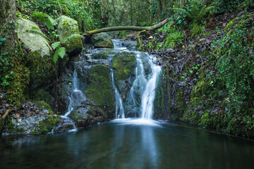 Fototapeta na wymiar Pequeña cascada en un arroyo de un bosque del Montseny