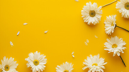 White flowers on yellow background.