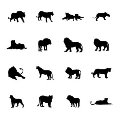 A set of male and female lions in silhouette Lions set. Silhouette picture. African savanna predator. Dangerous animal in natural conditions. Isolated on white background. Vector