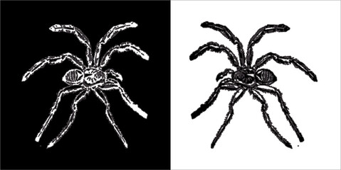 Illustration vector graphics of spider icon