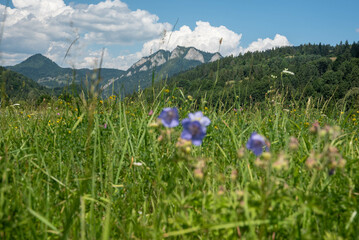 Trzy korony Pieniny