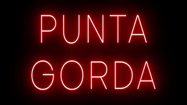 Flickering red retro style neon sign glowing against a black background for PUNTA GORDA