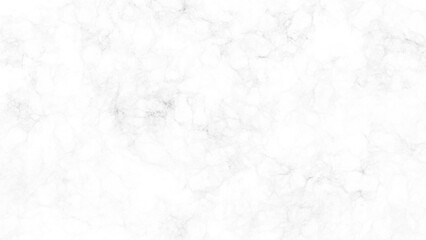 Obraz na płótnie Canvas white marble texture