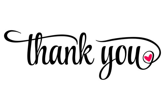 Thank You Hand Lettering With Pink Heart. Typography Design Inspiration