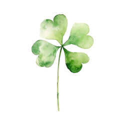 Watercolor a lucky clover leave long green stem clipart transparent background