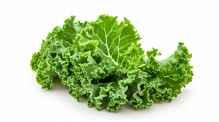 Kale curly salad leaf