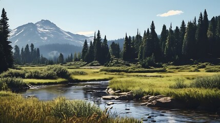 Fototapeta premium Mountain Lake with Pine Trees and Snow-Capped Peaks
