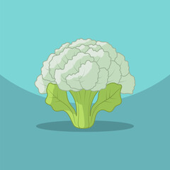 Cauliflower vegetable on a blue background. Healthy food design. Vector illustration
