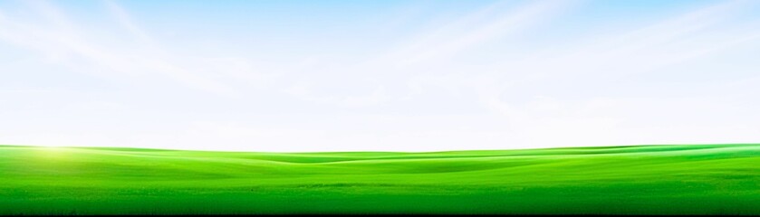 Fototapeta na wymiar Spring landscape background. Green field with blue sky and white clouds