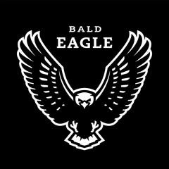 Bald eagle in flight on a dark background.