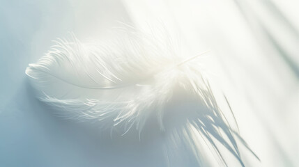 Close-up of elegant white feather against light background with sun rays and shadows. Airy concept. Generative AI - obrazy, fototapety, plakaty