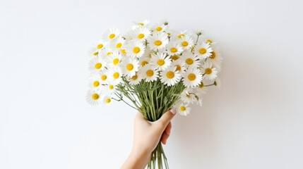 Bouquet of daisies in hands