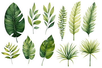  tropical leaves in shades of green with a watercolor effect on a white background. - obrazy, fototapety, plakaty