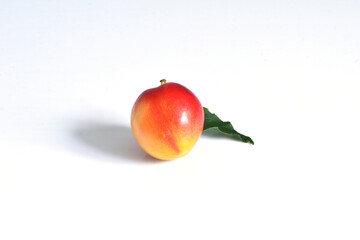 Ripe pink plum fruit.