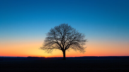 Germany silhouette of single bare tree at sunset