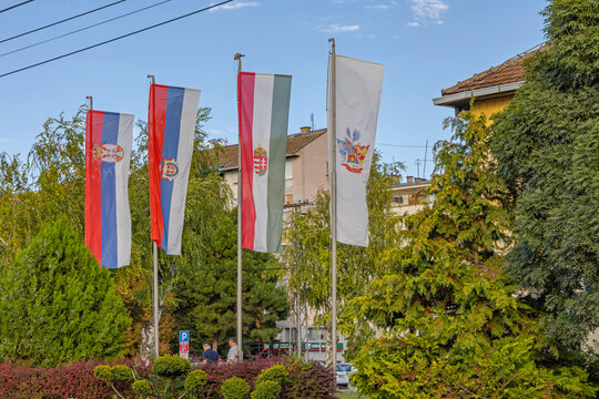 Town Temerin Flags Vojvodina Serbia