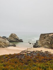 Fototapeta na wymiar Rocky ocean coast, mist and fog at the ocean bay, rocks at the ocean coast, impressive