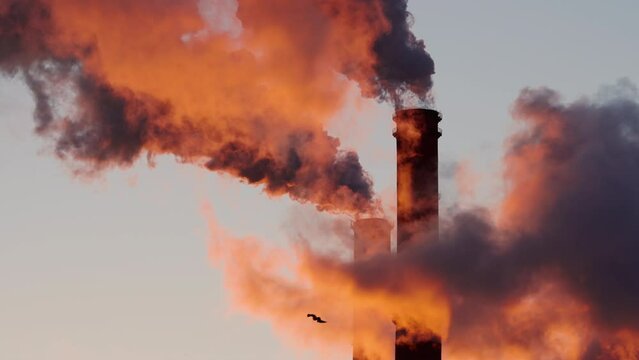 Smoke from factory chimney. Glowing gold colors at sunset. Slow motion 4k 10bit footage.	
