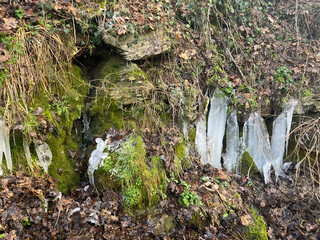 Fototapeta premium Clean and cold spring water bursts out of the ground to the surface. Winter-spring landscape