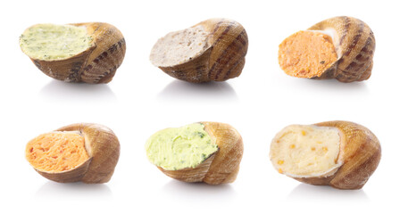 Collection of delicious frozen snails isolate on white