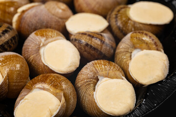 frozen snails in the supermarket as a texture