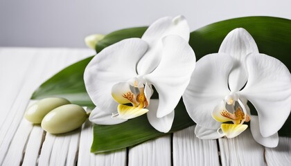 A bunch of white orchids on a white table