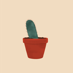 illustration of cactus flower pot on white background