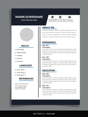 Professional Vector Resume/CV templates