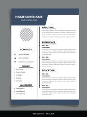 Professional Vector Resume/CV templates