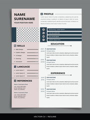 Professional Vector Resume/CV templates