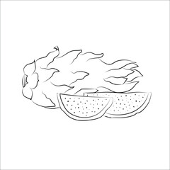 Dragon fruit, exotic fruit or eco element for vegetarian menu. Organic nature ingredient for food market.