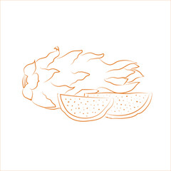 Doodle ripe dragon fruit. Hand-drawn line Pitaya fruit. Symbol of summer, healthy raw food, exotic food. 
