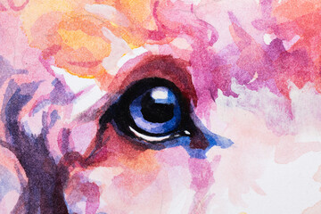 Poodle ainted in watercolor on white background in a realistic manner, colorful, rainbow.