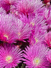 Obraz premium Abstract background - pink flowers