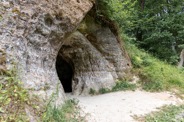 
Nature view with trees and a cave built in the rock