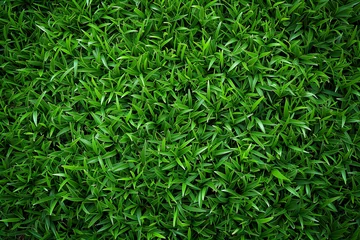 Foto op Aluminium Artificial grass texture. Lush and maintenance-free. Ideal image for showcasing synthetic turf, suitable for various contexts such as landscaping, sports fields, or illustrating eco-friendly alternati © Pale