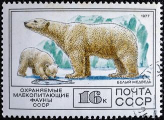 Soviet Union, circa 1977 : USSR post stamp from the  Animals series. With the image of a polar bear.Collection of Protected Fauna of the USSR, circa 1977