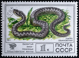 Soviet Union, circa 1977 : USSR post stamp from the  Animals series.With the image of a common...