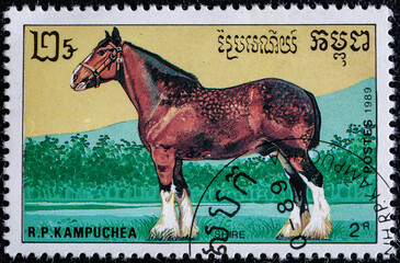 Cambodia, circa 1989: stamp printed in Cambodia.Horse series.shows     shire, is a British breed of...