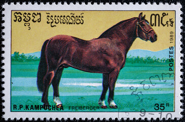 Cambodia, circa 1989: stamp printed in Cambodia.Horse series.shows     Freiberger horse.Cancelled...
