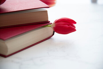 book and tulip 