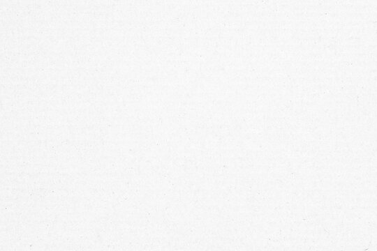 White paper texture background. White cardboard surface