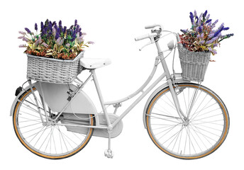 Fototapeta na wymiar Old cute white painted bicycle with baskets and lavander flowers in springtime isolated on white background for easy selection