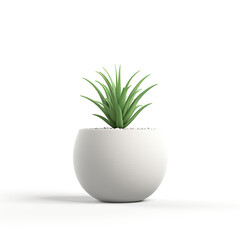 Digitally rendered image of a green succulent plant in a round white pot against white background