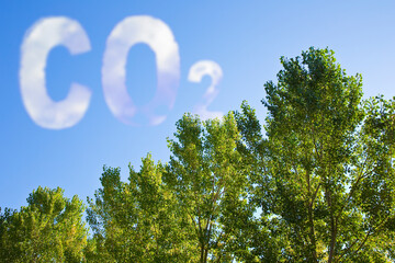 Planting more trees reduce the amount of CO2 - concept image with CO2 text against woodland