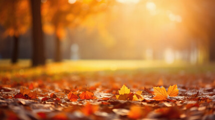 Naklejka na ściany i meble Autumn leaves on the ground in the park. Beautiful nature background