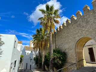 gate in the old city wall and palms in the old town of Vejer de la Frontera, Arco de la Puerta Cerrada, hilltop town near Cádiz, Andalusia, Costa de la Luz, Spain, Europe © keBu.Medien