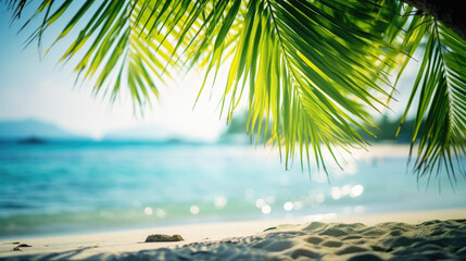 Coconut palm leaf on tropical beach with bokeh sun light