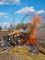 Branches are engulfed in flames, emitting smoke. Illegal burning of leaves and dry grass.